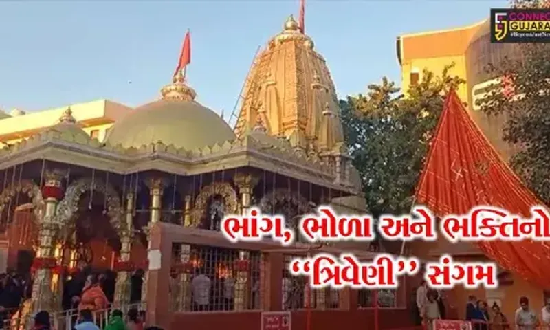 જુનાગઢ : ગિરનારની તળેટીએ ભવનાથ મંદિરે ઉમટ્યા શિવભક્તો, શિવજીના દર્શન સાથે લીધી ભાંગની પ્રસાદી