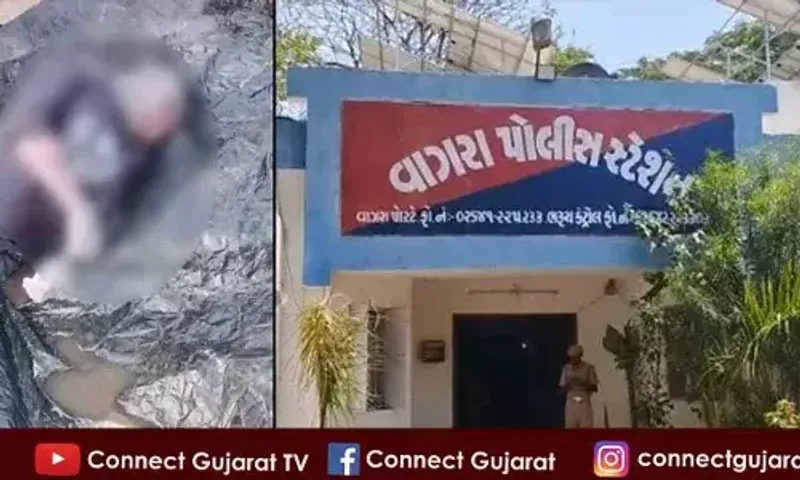 ભરૂચ: વાગરા ભેરસમ ગામનાં તળાવમાંથી યુવકનો મૃતદેહ મળી આવ્યો, ગણેશ વિસર્જન દરમિયાન યુવક ડૂબ્યો હોવાની આશંકા