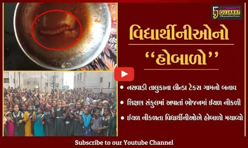 છોટાઉદેપુર : વિદ્યાર્થીનીઓને અપાતાં ભોજનમાં નીકળી ઈયળ, જુઓ પછી શું થયું..!