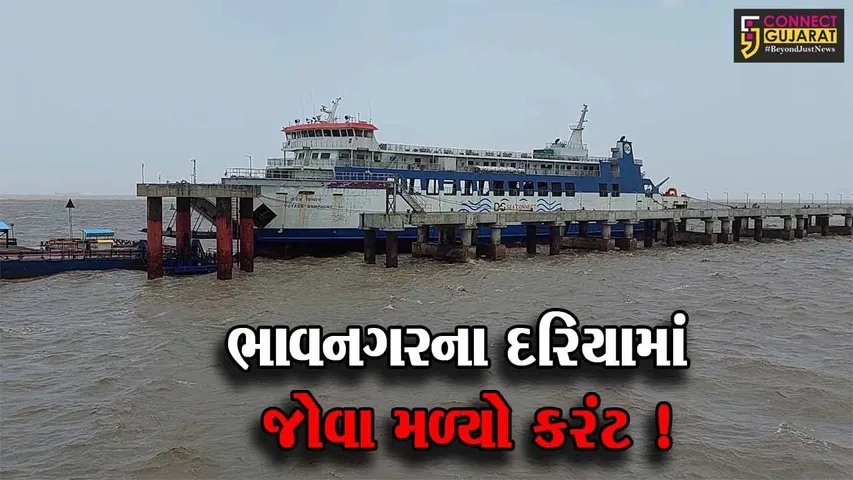 ભાવનગર: જિલ્લામાં પવન,વરસાદ સાથે વધી રહ્યો છે દરિયામાં કરંટ ,વાવાઝોડાની અસરના પગલે વહીવટી તંત્ર એલર્ટ મોડ પર