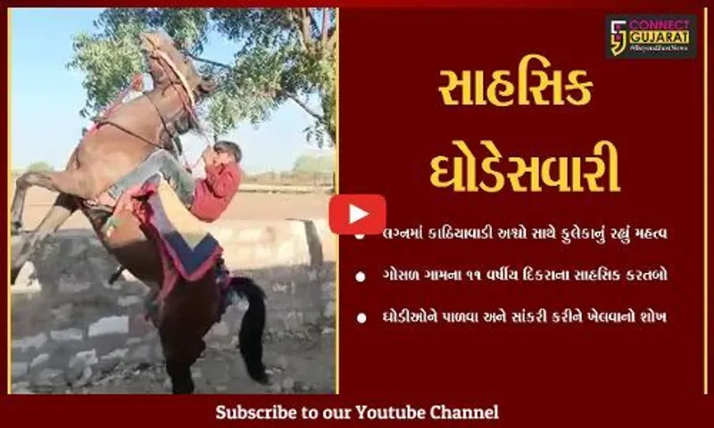 સુરેન્દ્રનગર : લગ્નમાં ઘોડા પર સાહસિક કરતબ બતાવતો 11 વર્ષીય કિશોર, જુઓ તમે પણ...