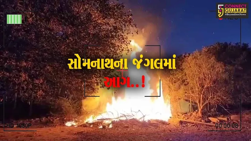 સોમનાથના રામ મંદિર સામે જંગલ વિસ્તારમાં ફાટી નીકળી આગ, 30 ફૂટ ઊંચી આગની જ્વાળાઓ જોવા મળી