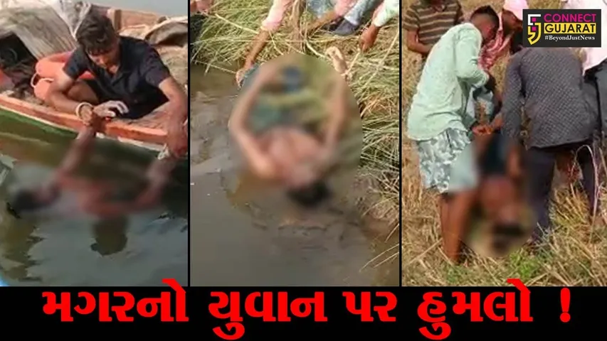 ભરૂચ: ઝઘડિયાના અવિધા નજીક નર્મદા નદીમાં મગરનો યુવાન પર હુમલો, નદીમાં ખેંચી જતા મોત નિપજયુ