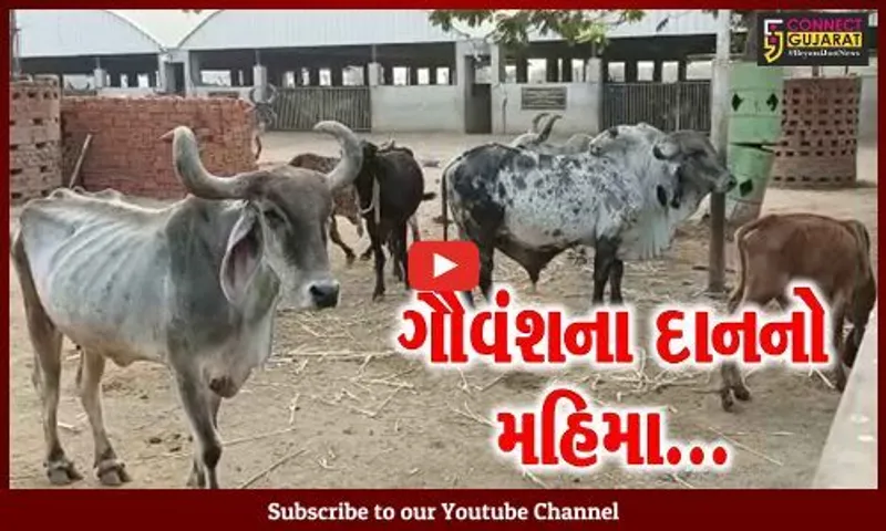 ભરૂચ : નંદીની ગૌશક્તિપીઠ દ્વારા પાંજરાપોળને 4 ગાય અને 4 વાછરડાનું દાન અપાયું...