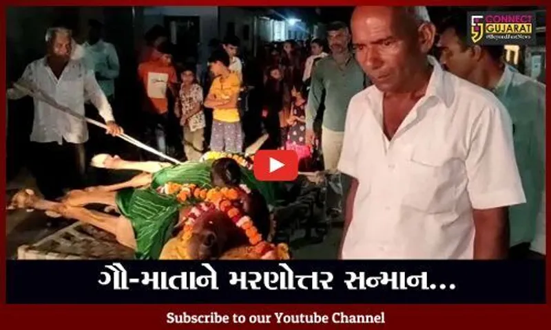ભાવનગર: વલ્લભીપુર ગામે ઢોલ-શરણાઈના સુર સાથે ગૌમાતાની અંતિમયાત્રા યોજાઈ