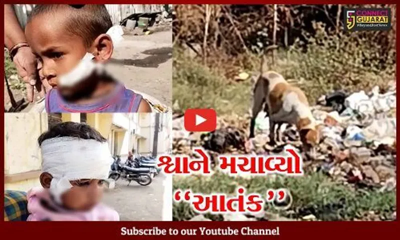 ભરૂચ : જંબુસરના મંગણાદ ગામે શ્વાને ભર્યા 4થી વધુ બાળકોને બચકાં, ઇજાગ્રસ્ત બાળકો સારવાર હેઠળ...