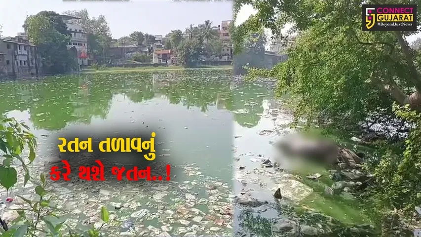ભરૂચ : ઐતિહાસિક રતન તળાવમાં વધુ એક દુર્લભ કાચબાનું મોત, તંત્ર પ્રત્યે સ્થાનિકોમાં રોષ...