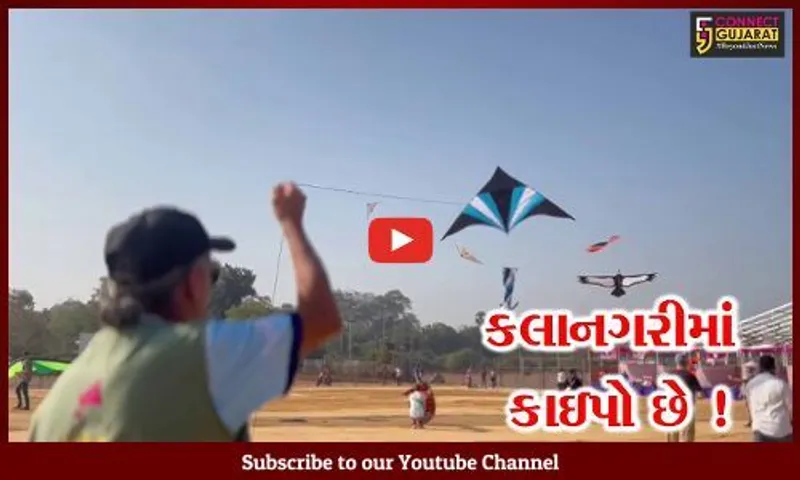 વડોદરા: આંતરરાષ્ટ્રીય પતંગ મહોત્સવનું આયોજન, 19 દેશોના પતંગબાજો લઈ રહ્યા છે ભાગ