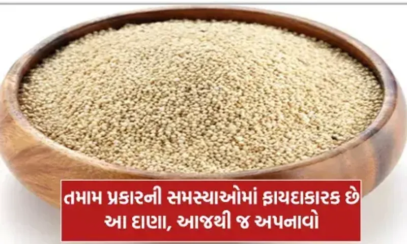 માત્ર વ્રત જ નહીં, નોર્મલ ડાયટ માં પણ સામેલ કરી શકો છો “રાજગરો” થશે અનેક મોટા ફાયદા