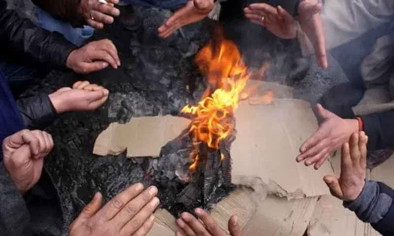 માવઠા બાદ ગુજરાત બન્યું ઠંડુંગાર, આવનારા દિવસોમાં ધીમે-ધીમે ઠંડીનું જોર વધવાની હવામાન વિભાગે કરી આગાહી