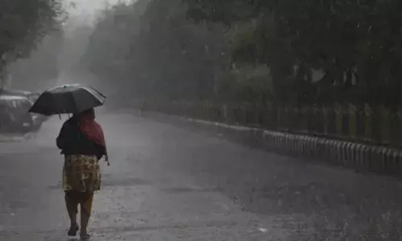 ગુજરાતમાં બે દિવસ કમોસમી વરસાદની આગાહી, વરસાદને પગલે લોકોને ગરમીમાં મળશે રાહત