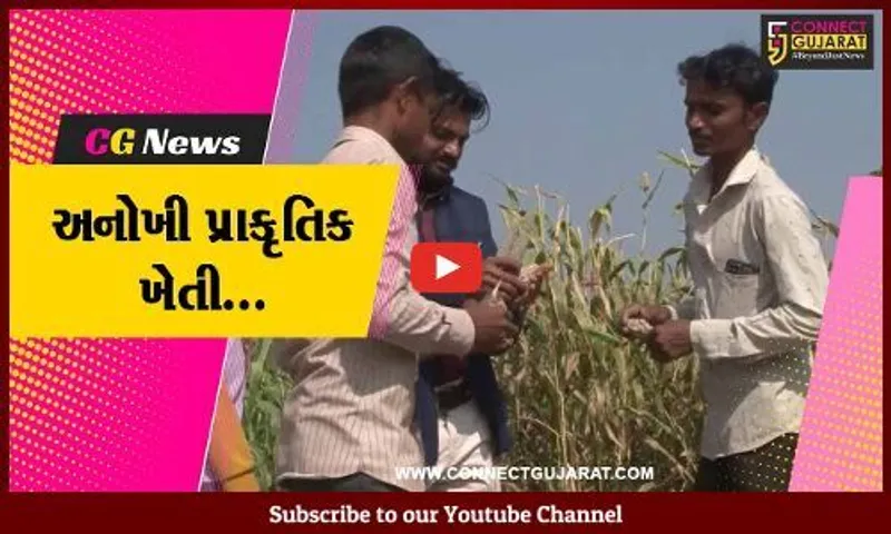 ગીર સોમનાથ : પ્રાકૃતિક ખેતીમાં વિકાસના પંથે આગળ વધ્યા ઉના-કાજરડીના પ્રગતિશીલ ખેડૂત...