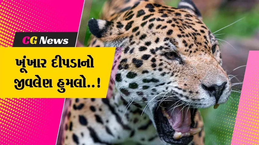 દાહોદ : લીમખેડાના પાડા ગામમાં દીપડાના હુમલામાં 2 લોકો ઘાયલ, ગંભીર ઇજા પહોચતા એક વ્યક્તિનું મોત...