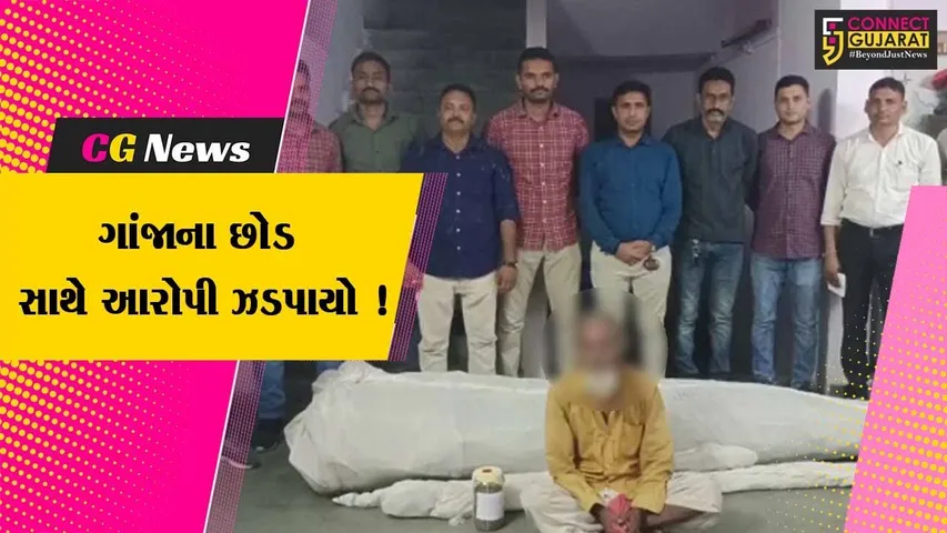 પંચમહાલ: ખેતરમાં લીલા ગાંજાના છોડ સાથે પોલીસે એક આરોપીની કરી ધરપકડ