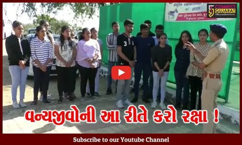 સુરેન્દ્રનગર: કચ્છના નાના રણમાં ઘુડખર અભ્યારણ્ય દ્વારા શિબિરનું આયોજન,લોકોને આપવામાં આવે છે સમજ