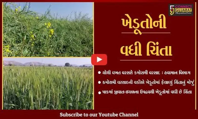 સાબરકાંઠા : કમોસમી વરસાદની વકીએ ધરતીપુત્રોની ચિંતા વધારી, પાકને નુકશાન જવાની ભીતિ..!