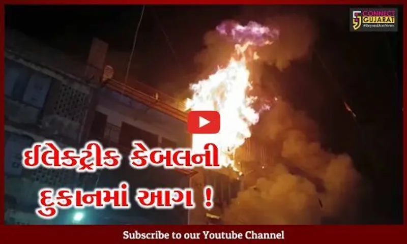 વડોદરા: ઈલેક્ટ્રીક કેબલની દુકાનમાં આગ ફાટી નિકળતા દોડધામ,ફાયર વિભાગે આગ પર મેળવ્યો કાબુ