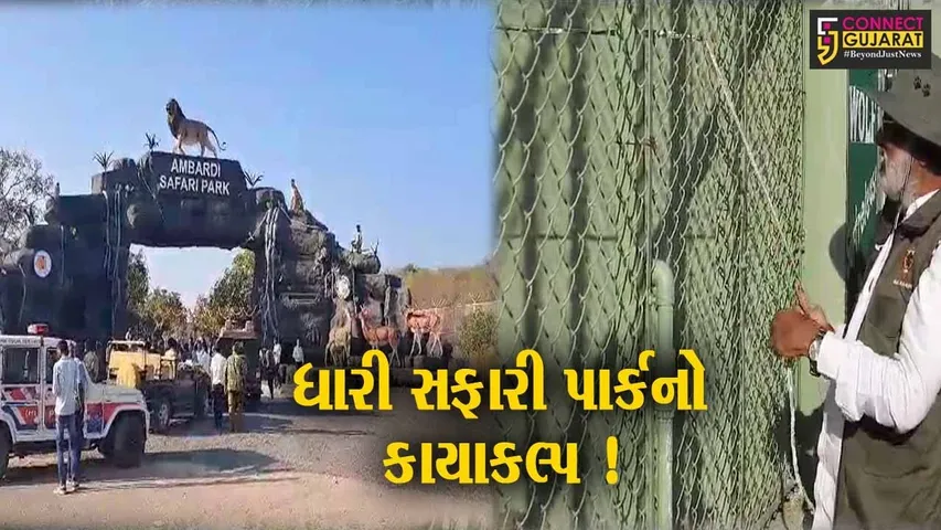અમરેલી: ધારીના સફારી પાર્કમાં રૂપિયા 21 કરોડના ખર્ચે વિવિધ પ્રકલ્પોનું નિર્માણ,વનમંત્રીના હસ્તે કરાયું લોકાર્પણ