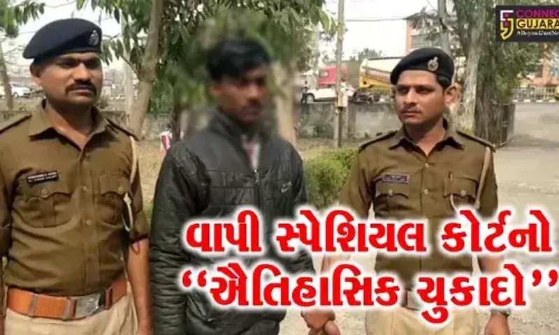 વલસાડ : દુષ્કર્મ બાદ હત્યા કરી બાળકીનો મૃતદેહ લટકાવ્યો પંખા પર, કોર્ટે નરાધમને ફટકારી ફાંસીની સજા