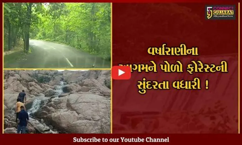 સાબરકાંઠા:વરસતા વરસાદ વચ્ચે પોળો ફોરેસ્ટની અપ્રતિમ સુંદરતા,દ્રશ્યો નિહાળી મુલાકાત લેવાનું અચુક થશે મન
