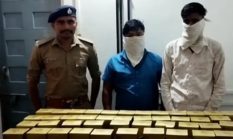 ભરૂચ : ગંધાર-મુલેર નજીક નંબર પ્લેટ વગરના મોપેડ પર દારૂની ખેપ મારતા 2 ખેપિયાઓ ઝડપાયા...