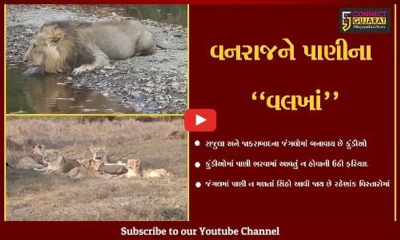 અમરેલી : પાણી વિનાની કુંડીઓ, વન્ય પ્રાણીઓ રહી જાય છે તરસ્યાં