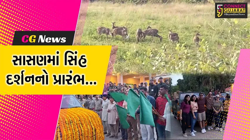 જુનાગઢ : સિંહ દર્શનનો લ્હાવો, સાસણ-ગીર નેચર સફારી પાર્ક પ્રવાસીઓ માટે આજથી ખુલ્લું મુકાયું