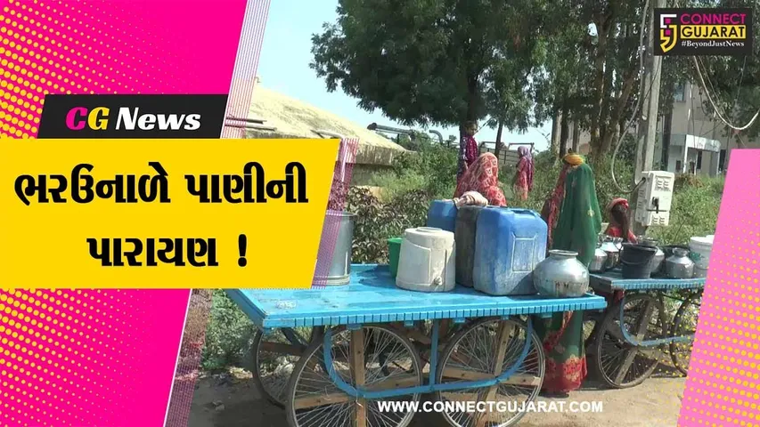 સાબરકાંઠા: પ્રાંતિજમાં ભરઉનાળે પાણીનો કકળાટ,મહિલાઓ 1 કી.મી.દૂરથી પાણી ભરી લાવવા માટે મજબૂર