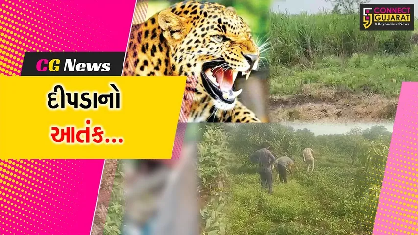 ગીર સોમનાથ : તાલાલાના વડાળા ગામે એક મહિલાનું દીપડાના હુમલાથી મોત, લોકોમાં ભયનો માહોલ.....