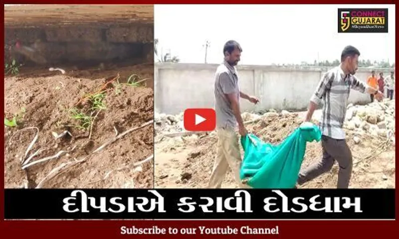 ગીર સોમનાથ : યાત્રાધામ સોમનાથ નજીક આવી ચઢયો દીપડો, જુઓ રેસ્કયુ ઓપરેશન