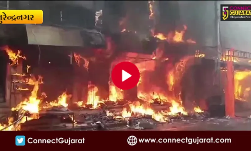 સુરેન્દ્રનગર જિલ્લાના ધ્રાંગધ્રા શહેરમાં વેદાંત કોમ્પલેક્ષમાં લાગી ભીષણ આગ, 10 થી વધુ દુકાનમાં લાગી આગ