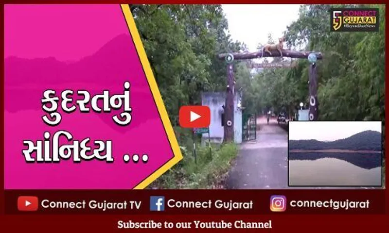 વડોદરા : પ્રકૃતિને માણવી હોય તો કડા ડેમની મુલાકાત જરૂર લેજો, શહેરના કોલાહલથી દુર એક અલગ જગ્યા