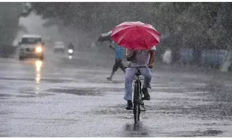 હવામાન વિભાગની આગાહી, વાંચો વરસાદ પડશે કે ગરમી શરૂ થશે !