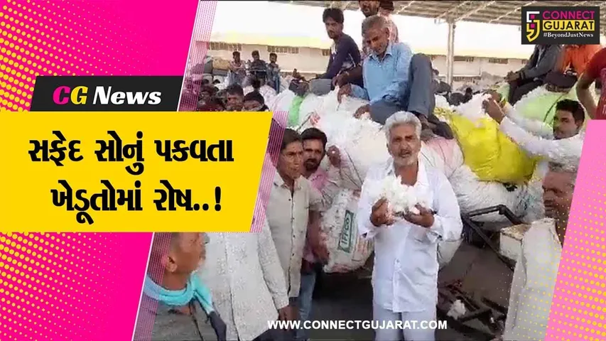 અમરેલી : દિવાળી બગડવાની ખેડૂતોમાં હૈયા વરાળ, કપાસના પોષણક્ષમ ભાવો ન મળતા હરાજી બંધ કરાવી...