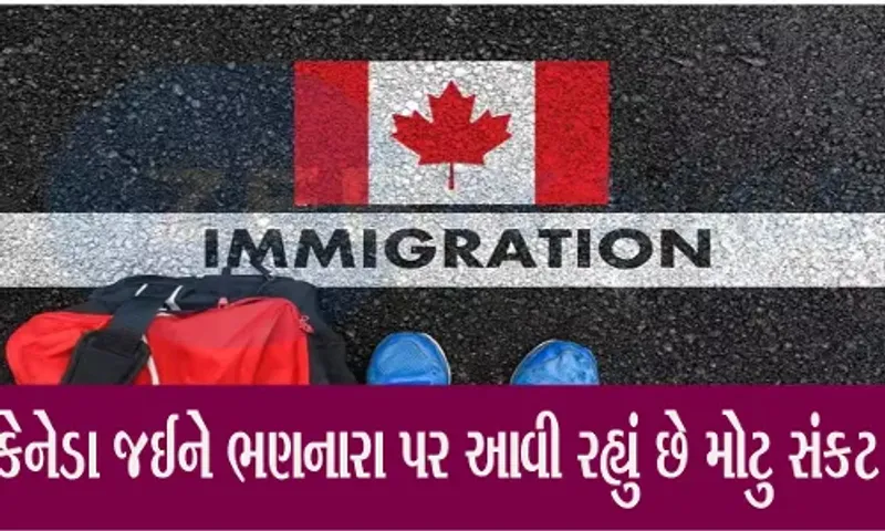 હવે કેનેડા અભ્યાસ કરવા જવાનું સપનું સપનું જ રહી જાય તો નવાઈ નહીં, આ કારણે કેનેડા સરકાર અંકુશ લાવવાની તૈયારીમાં