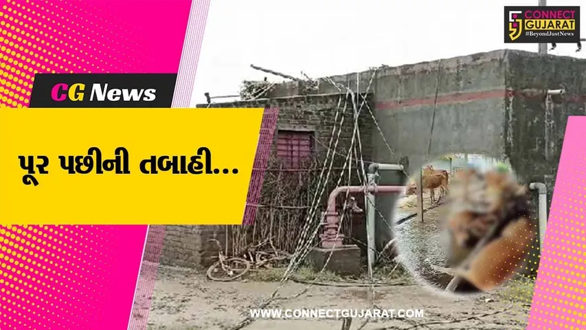 વડોદરા : નર્મદા નદીમાં ભારે પૂરના કારણે માલસર ગામના 40 પશુઓ તણાયા, ખેતી પાક થયો સંપૂર્ણપણે નાશ....