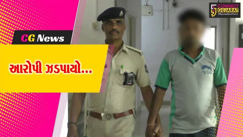 નવસારી : સુઠવાડ ગામેથી ગેરકાયદે એક્સ્પ્લોઝિવ રાખનાર શખ્સની SOG પોલીસે કરી ધરપકડ...