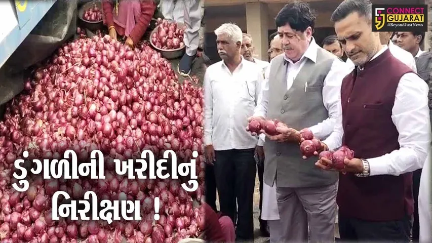 અમરેલી:ખાંભા APMC સેન્ટરમાં નાફેડના ચેરમેન દિલીપ સંઘાણી દ્વારા કરવામાં આવ્યુ નિરીક્ષણ