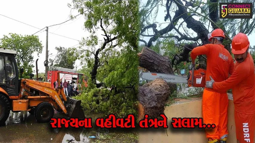 આફતરૂપી ચક્રવાત બિપરજોયની ઘાત સામે રાજ્યના વહીવટી તંત્રએ કુશળતાપૂર્વક બાથ ભીડી, ઠેર ઠેર બચાવ-રાહત કામગીરી કરી...