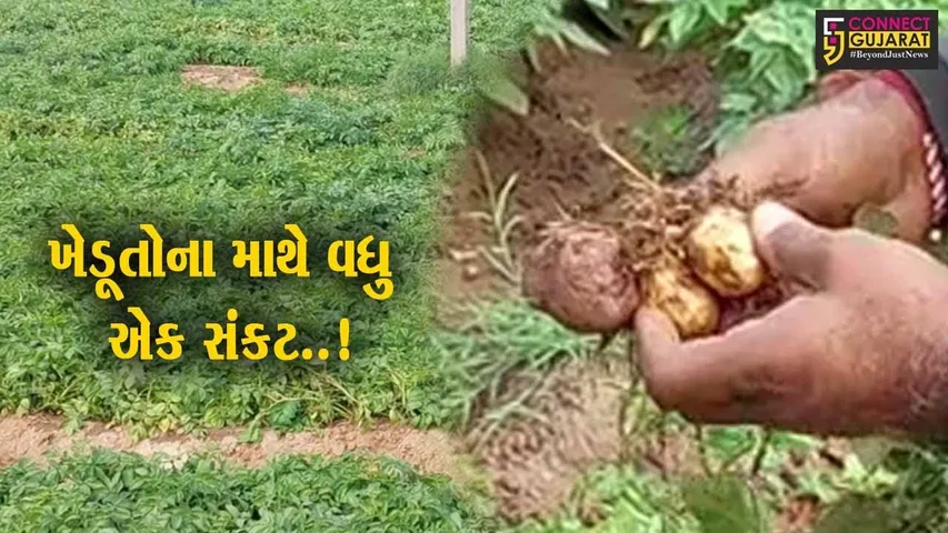 સાબરકાંઠા : વાદળછાયા વાતાવરણને લઈને વિવિધ પાકમાં નુકશાન જવાની ખેડૂતોમાં ભીતિ..!