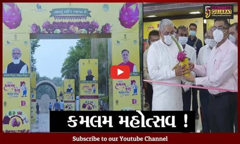 અમદાવાદ: કર્ણાવતી ક્લબમાં કમલમ અને ફળ મહોત્સવ શરૂ, 35% ઉત્પાદન સાથે ગુજરાતઅગ્રેસર