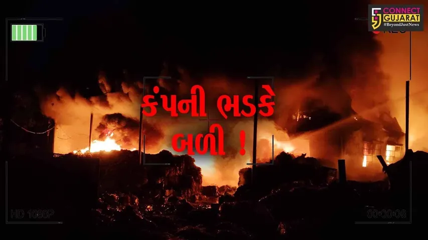 વડોદરા: મંજુસર GIDCની પ્લાસ્ટિક કંપનીમાં ભીષણ આગ,અફરાતફરીનો માહોલ