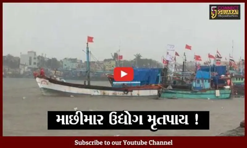 અમદાવાદ: ગુજરાતનો માછીમાર ઉદ્યોગ મૃતપાય અવસ્થામાં, કોંગ્રેસના ભાજપ પર પ્રહાર
