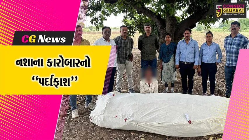 અંકલેશ્વર : અંદાડા નજીક ખેતરમાંથી 52 નંગ ગાંજાના છોડ સાથે ખેતર માલિકની અટકાયત, રૂ. 3.96 લાખનો મુદ્દામાલ જપ્ત