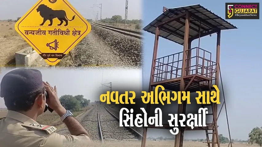 અમરેલી : મહામૂલા સિંહોને બચાવવા નવતર પહેલ, લીલીયા-પીપાવાવ પોર્ટ સુધી રેલ્વે ટ્રેક પર વોચ ટાવરો ઉભા કરાયા...