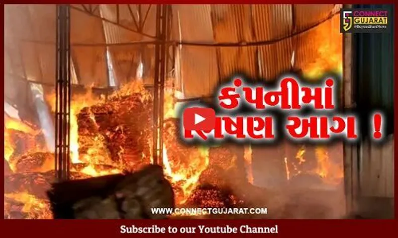 સાબરકાંઠા: તાજપુર ખાતે આવેલ મહાદેવ પ્લાયવુડની ફેકટરીમાં ભીષણ આગ,ફાયર વિભાગે આગ પર કાબૂ મેળવ્યો