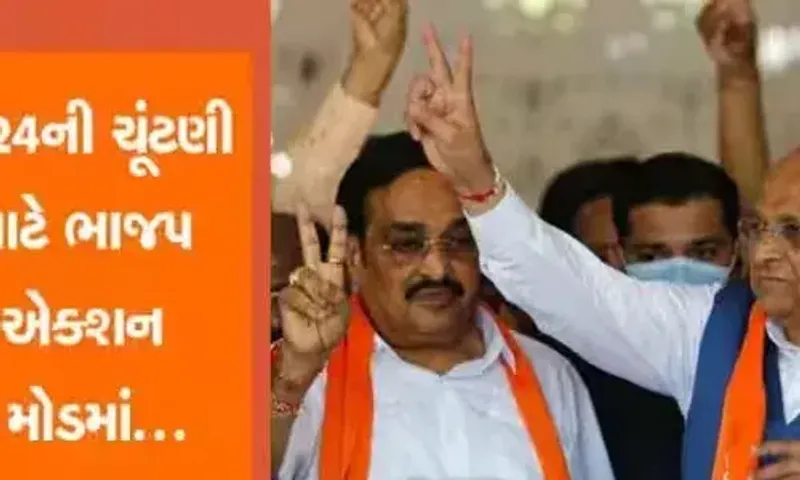 લોકસભાની ચૂંટણીને લઈ ભાજપ એક્શન મોડમાં, ભાજપે જાહેર કર્યા રાષ્ટ્રીય પરિષદના સભ્યો, વાંચો લિસ્ટ