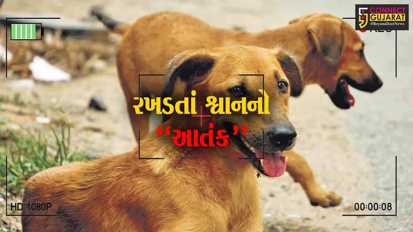 નવસારી : છેલ્લા 2 દિવસમાં ખેરગામના 12 લોકોને રખડતાં શ્વાનોએ બચકાં ભર્યા, સ્થાનિકોમાં ભયનો માહોલ…