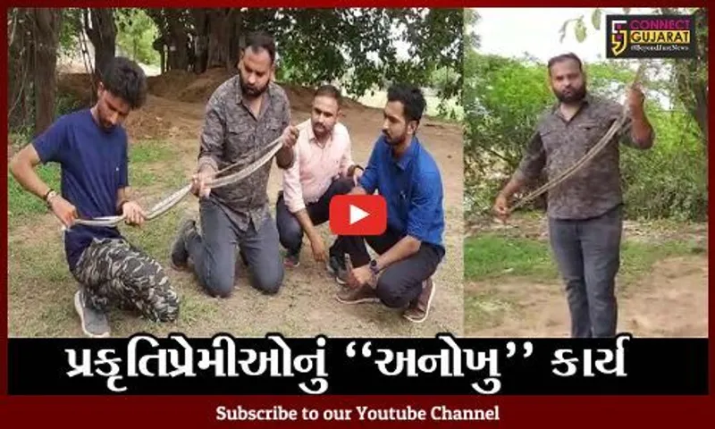 સુરેન્દ્રનગર : વઢવાણના પ્રકૃતિપ્રેમી યુવાનોનું અનોખુ કાર્ય