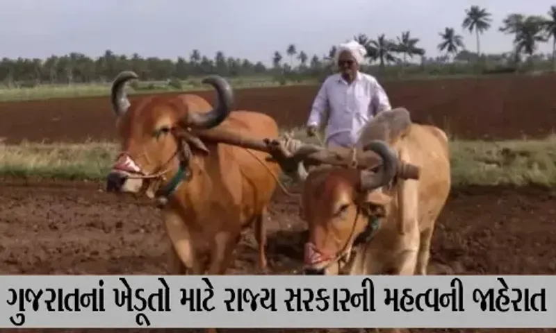 ગુજરાતના ખેડૂતો માટે રાજ્ય સરકારની મહત્વની જાહેરાત, 630 કરોડનું સહાય પેકેજ જાહેર